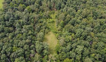 3899 County Road 304, Alton, MO 65606