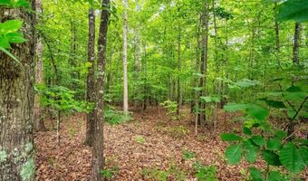 175 TRACIE Dr, Altavista, VA 24517
