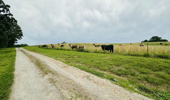 300 Round Up Ln, Bakersfield, MO 65609