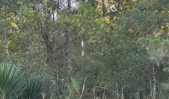 50 Th St, Bell, FL 32619