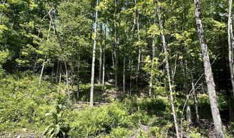 Denio Road, Barnet, VT 05821