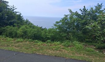 ROAD E, Captain Cook, HI 96704