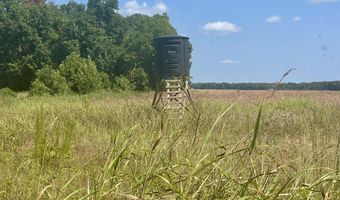 Bolivar Road, Benoit, MS 38725