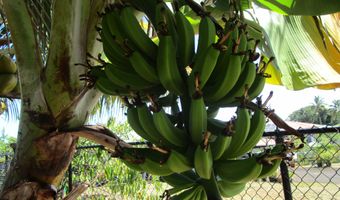 390 MOHOULI St, Hilo, HI 96720