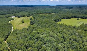 6925 Cobbham Rd, Appling, GA 30802