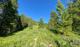 400 GROVER DRY FARM Rd, Afton, WY 83110