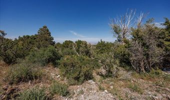 Sir Turner Drive APN # 095-01-711-034, Cold Creek, NV 89124