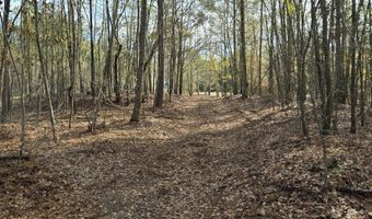 Yatesville Road, Barnesville, GA 30204