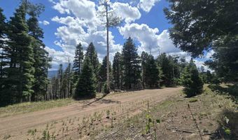 Plesant Valley lot 1302, Angel Fire, NM 87710