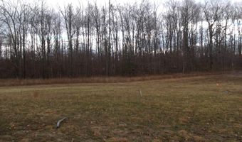 2327 McMichael Rd, Alanson, MI 49706