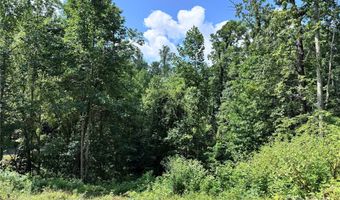 7 Winter Hawk Dr 3, Arden, NC 28704