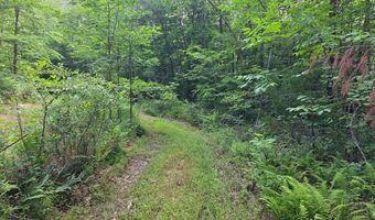 1408 Coleman Mountain Rd, Appomattox, VA 24522