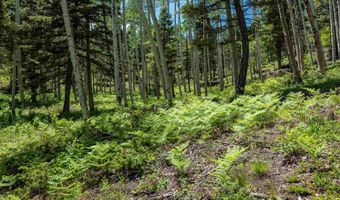 Lot 148 Brazos Dr, Angel Fire, NM 87710