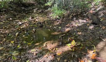 0 Coleman Mountain Rd, Appomattox, VA 24522