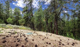 1497 Pine Ridge Dr, Cascade, ID 83611