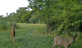 9096 State Route 41, Aberdeen, OH 45101