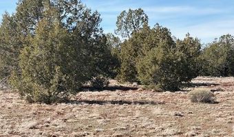 00- D N Dunbar Blvd, Ash Fork, AZ 86320