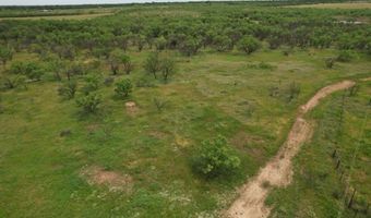 FM 600, Anson, TX 79501