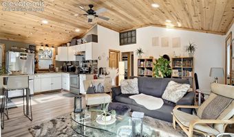 226 Hall Rd, Bailey, CO 80421
