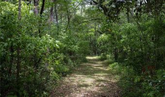 6207 NW COUNTY ROAD 235, Alachua, FL 32615