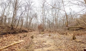 CR 19-A, Alton, MO 65606