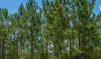 Val Del Road, Adel, GA 31620