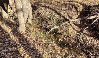 0 Lot 2B Police Tower Rd Lot 2B, Appomattox, VA 24522