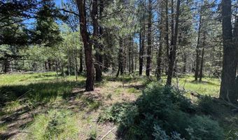 Calle de los Indios lot 73, Angel Fire, NM 87710