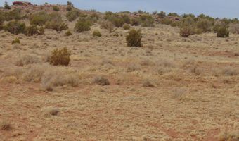 42 N5576, Concho, AZ 85924