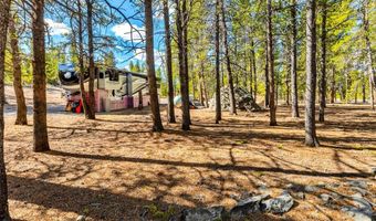 265 Placer Dr Lot 10, Alma, CO 80420