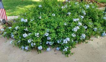 1 Cielo Dorado Dr, Anthony, NM 88021