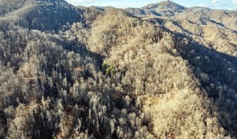NC 209 Highway, Aurora, NC 28743