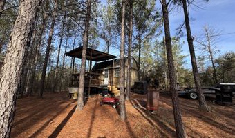 259 Forest Lake Rd, Beaumont, MS 39423