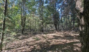N Forest Lake Drive, Alger, MI 48610