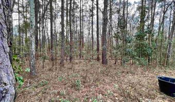 Tall Timber Drive, Leesville, SC 29070