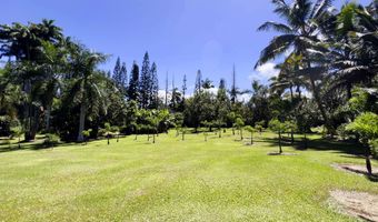 29-3707 KANNA Rd, Hakalau, HI 96710