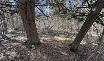 2254 E M30, Alger, MI 48610