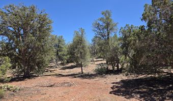 450 Arizona Rd, Ash Fork, AZ 86320