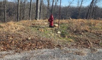 Lord Botetourt Court lot 13, Baxter, TN 38506