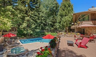 700 Ute Ave 213, Aspen, CO 81611