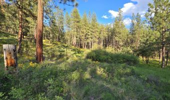 Nhn Profile Rock, Alberton, MT 59820