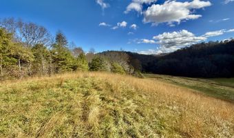 1520 Brittontown Rd, Afton, TN 37616