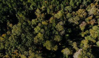 971 Somerset Rd SE, Bogue Chitto, MS 39629