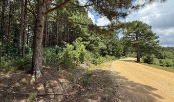 25 Acres Silo Rd, Altoona, AL 35952