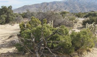 0 Carrizo Rd, Mountain Center, CA 92561