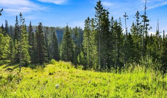 40 Swift Bear, Big Sky, MT 59716