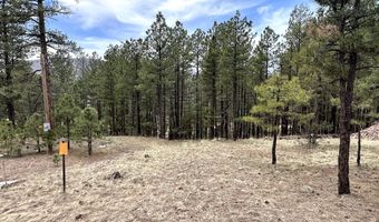 29 27 N 2058, Alpine, AZ 85920