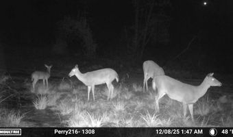 US Hwy 98, Beaumont, MS 39423