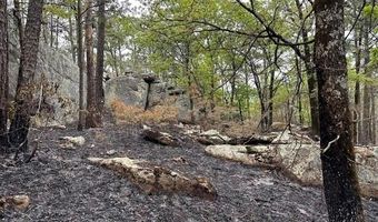 TBD Kiamichi Wilderness, Antlers, OK 74523