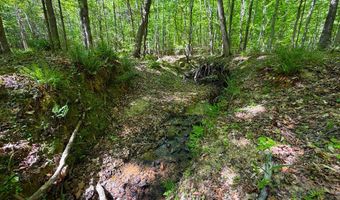 3170 Highway 20, Abbeville, SC 29638